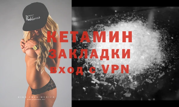 шишки Аркадак