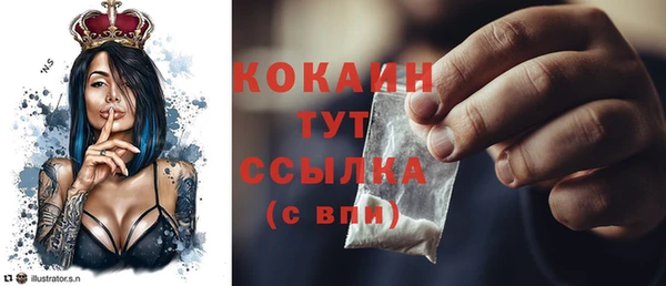 шишки Аркадак