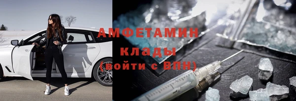 шишки Аркадак
