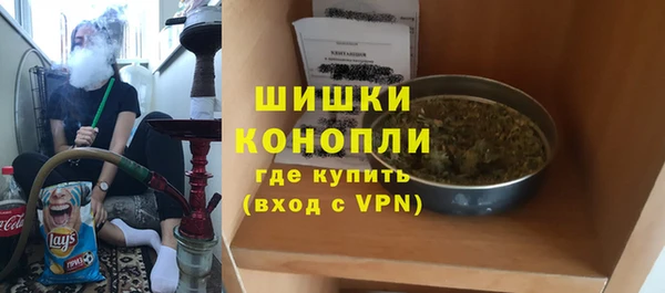 шишки Аркадак