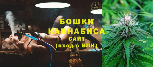 шишки Аркадак
