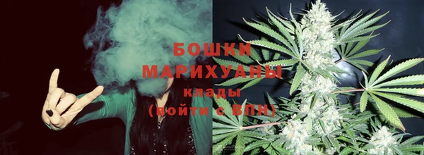 шишки Аркадак