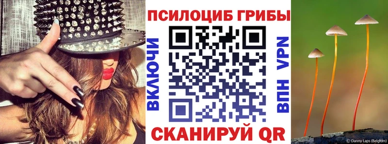 Псилоцибиновые грибы Magic Shrooms  Котельниково 